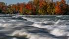 USA, New York. Niagara River, fall foliage and rapids, Niagara Falls State Park Art Print